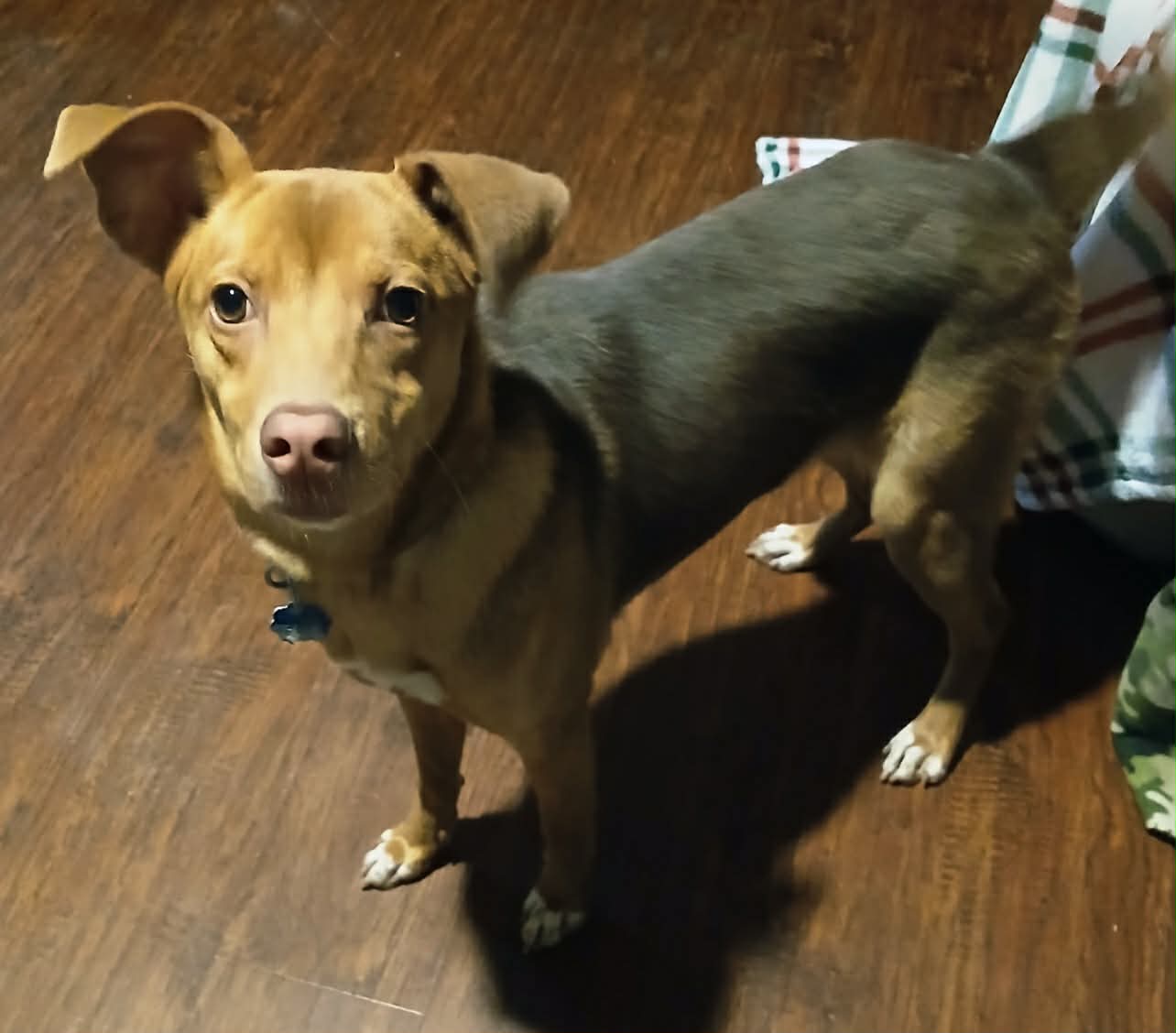 Coco