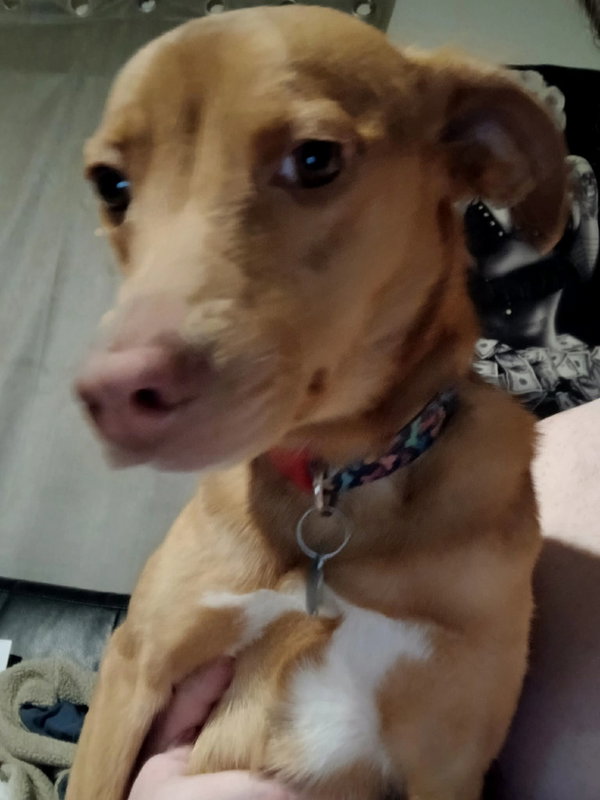 Coco