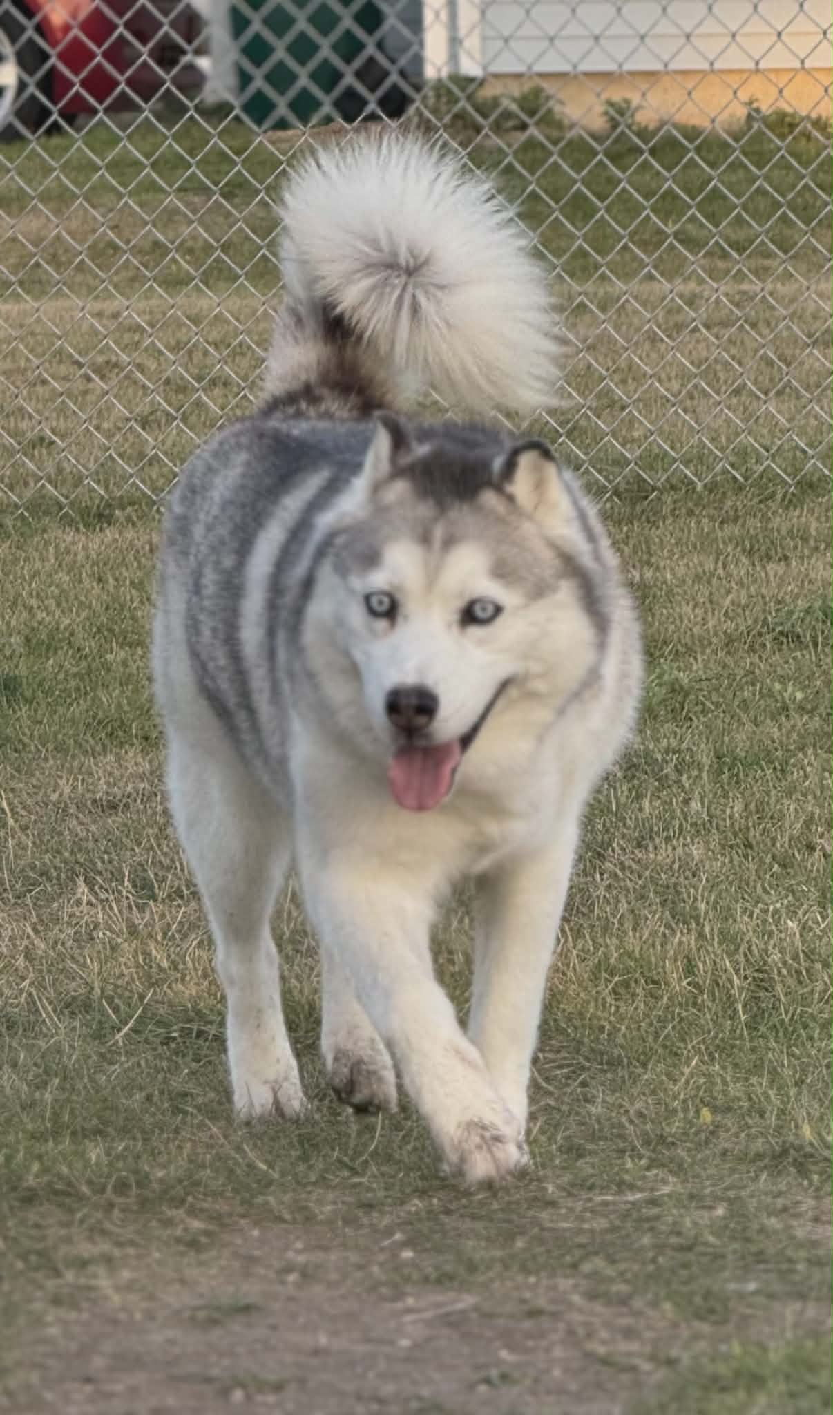 Mishka Image