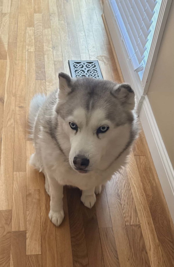 Mishka