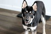 Melo - Photo 9