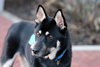 Melo - Photo 5