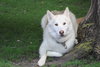 Lorna - Photo 8