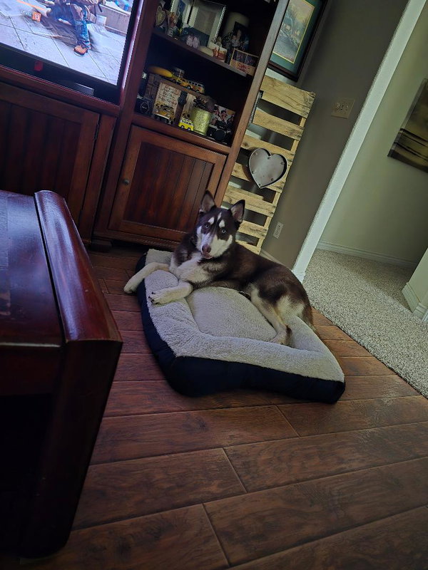 Coco