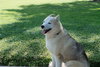 Tundra - Photo 17