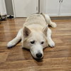 Tundra - Photo 4