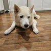 Tundra - Photo 12