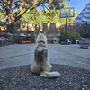 Tundra - Photo 13
