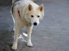 Tundra - Photo 10