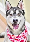 Klaus - Photo 11