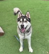 Klaus - Photo 12