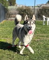 Klaus - Photo 13