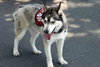 Klaus - Photo 10