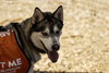 Klaus - Photo 5