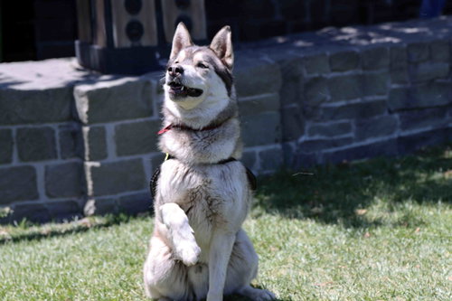 Klaus photo 2