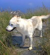 Jax - Photo 14