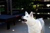 Jax - Photo 6