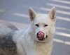 Jax - Photo 8