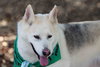 Jax - Photo 3