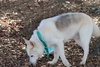 Jax - Photo 4