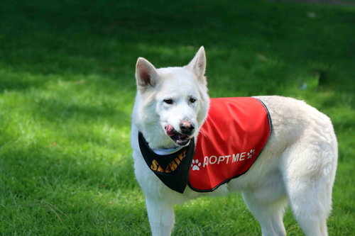 Jax photo 6