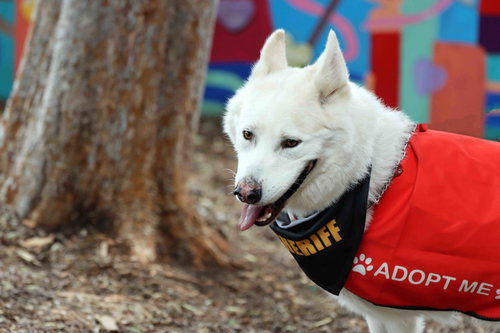 Jax photo 3
