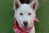 Blanca - Photo 10