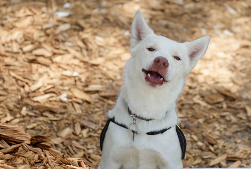 Blanca photo 5