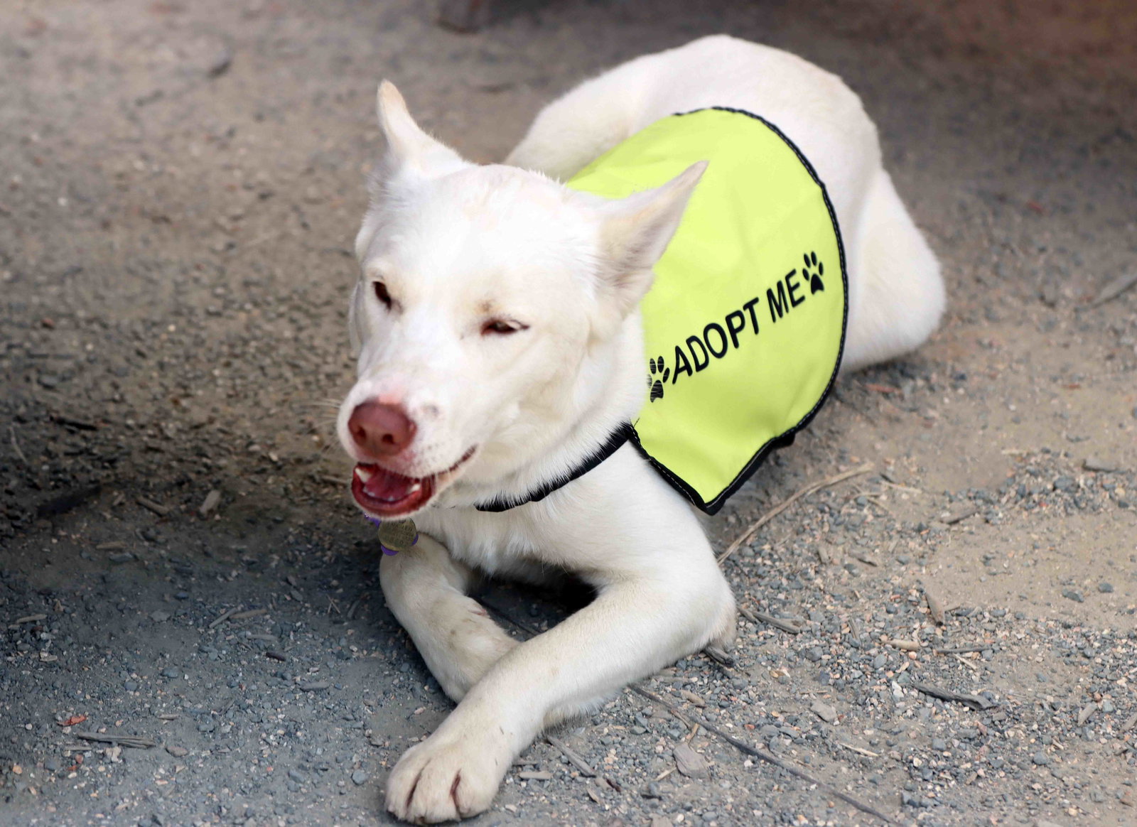 Blanca, photo 11