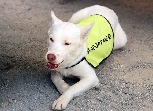 Blanca photo 6