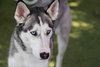Delilah - Photo 3