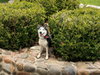 Franklin - Photo 8