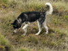 Franklin - Photo 10