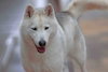 Winter - Photo 2