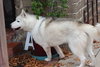 Winter - Photo 4