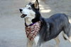 Leona - Photo 12