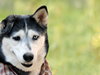 Leona - Photo 13