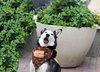 Leona - Photo 8