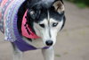 Leona - Photo 1