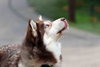 Charlie - Photo 6