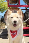 Renee — Walnut Creek, CA Adoption