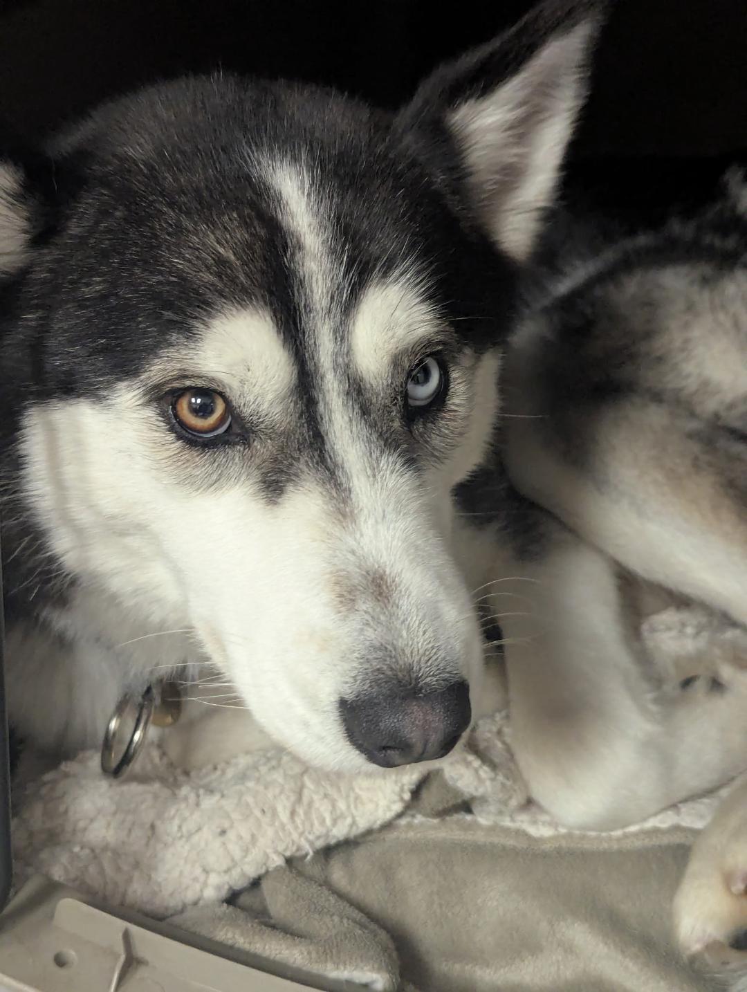 Michiko