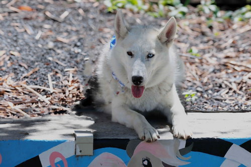 Frolic photo 4