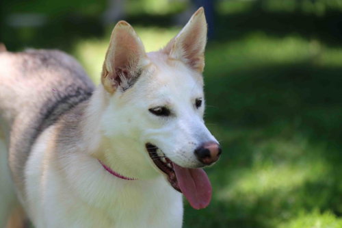Calypso photo 3