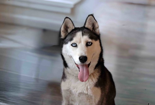 Mishka photo 4
