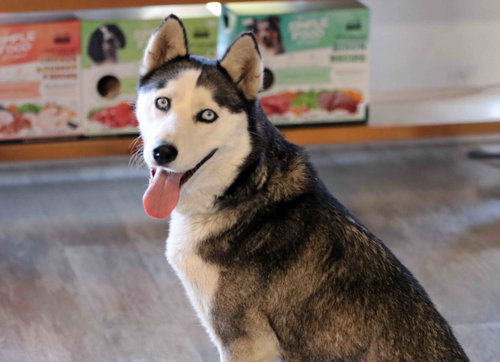 Mishka photo 5