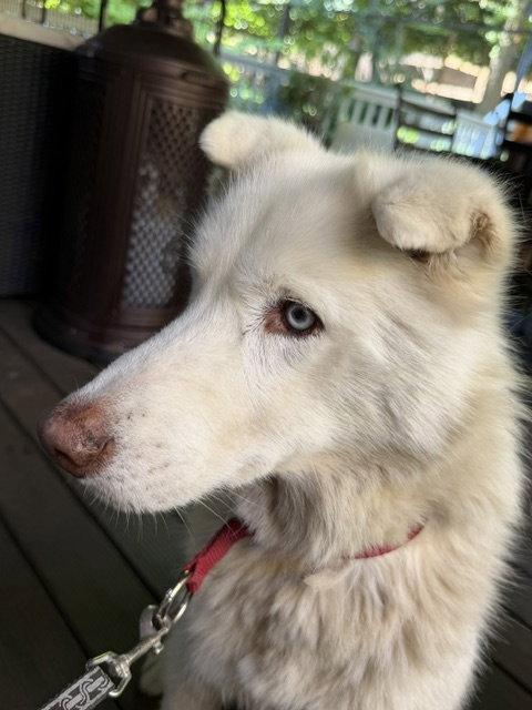 Cloud
