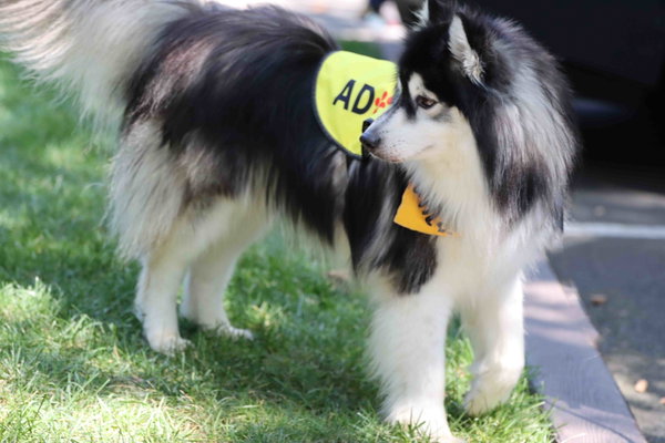 Aspen