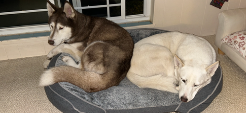 Stormy, photo 3