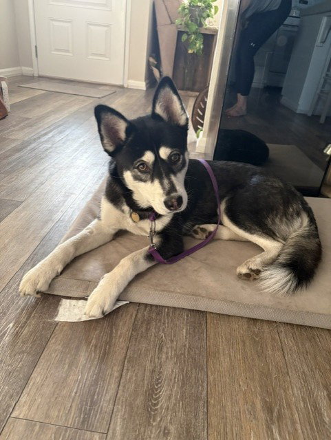 Zoey